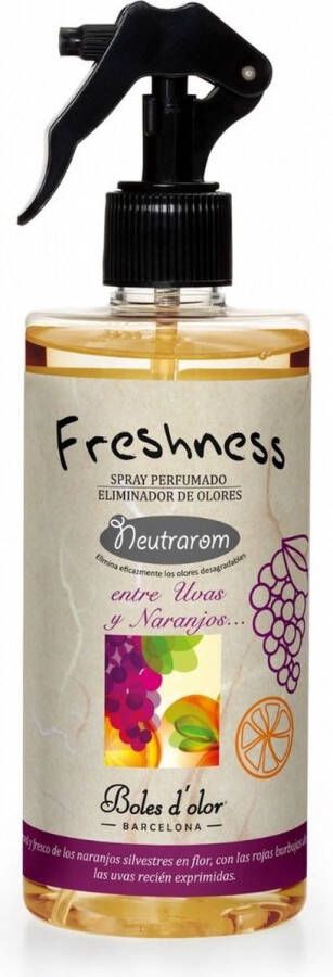 Boles d'olor Barcelona Boles d'olor Freshness roomspray Entre Uvas y Naranjos (Druiven en Sinaasappels) – 500 ml