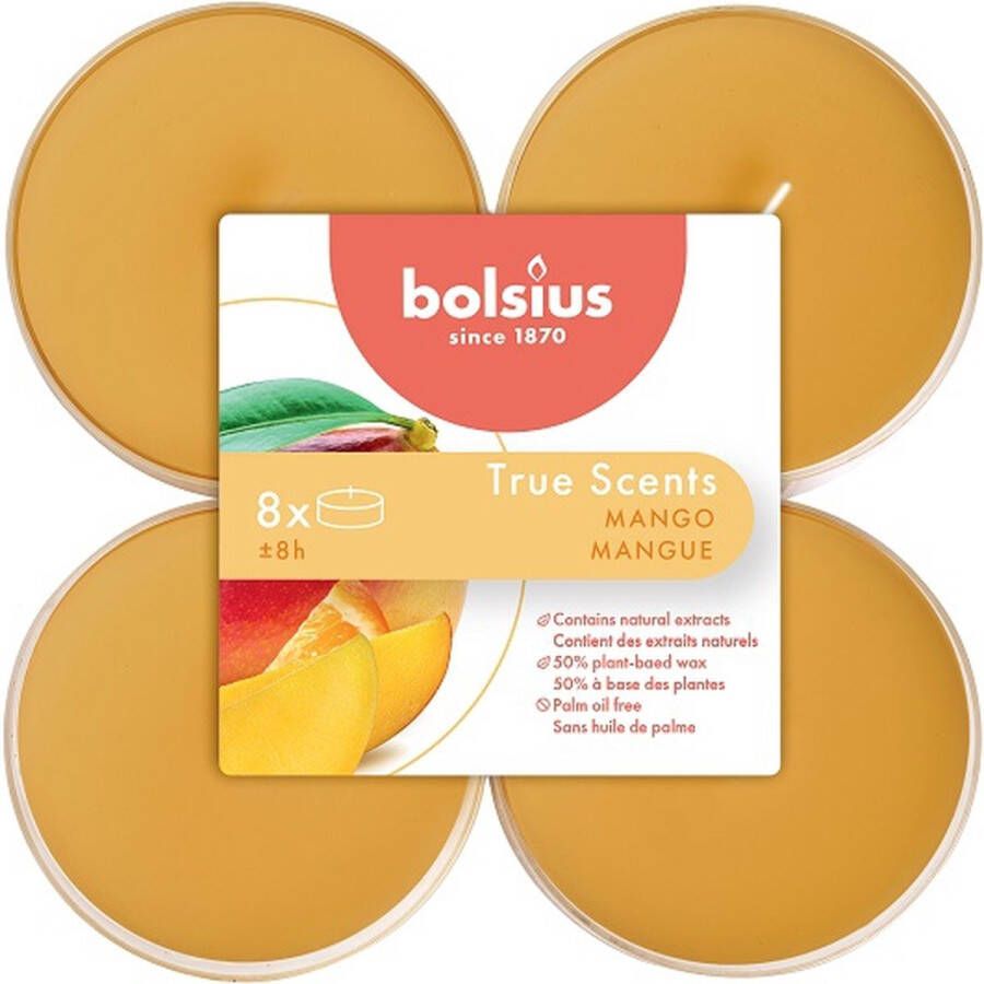 Bolsius 48 stuks mango maxi geurtheelichtjes (8 uur) clear cups True Scents