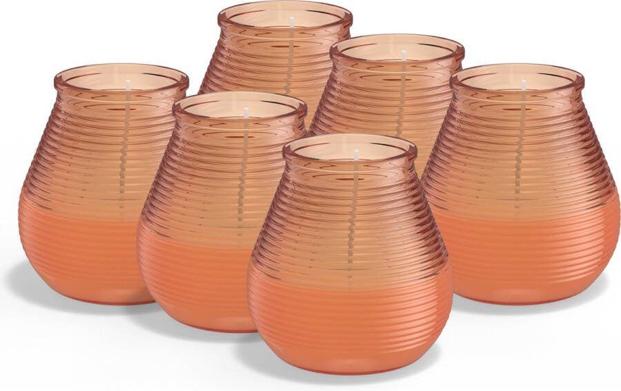 Bolsius 6 Geurkaarsen Citronella Buitenkaars Koraal