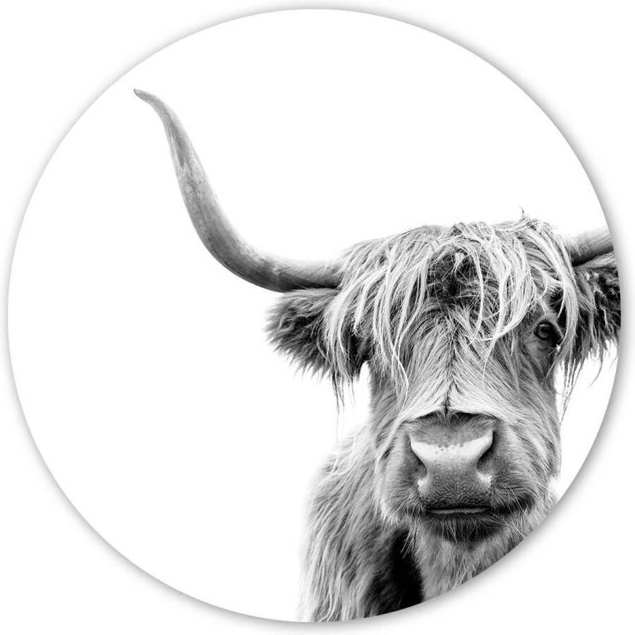 Bont Wooncirkel (⌀ 40cm) Schotse Hooglander Buffel Cow Koe Muurcirkel Wandcirkel Wanddecoratie Zwart wit