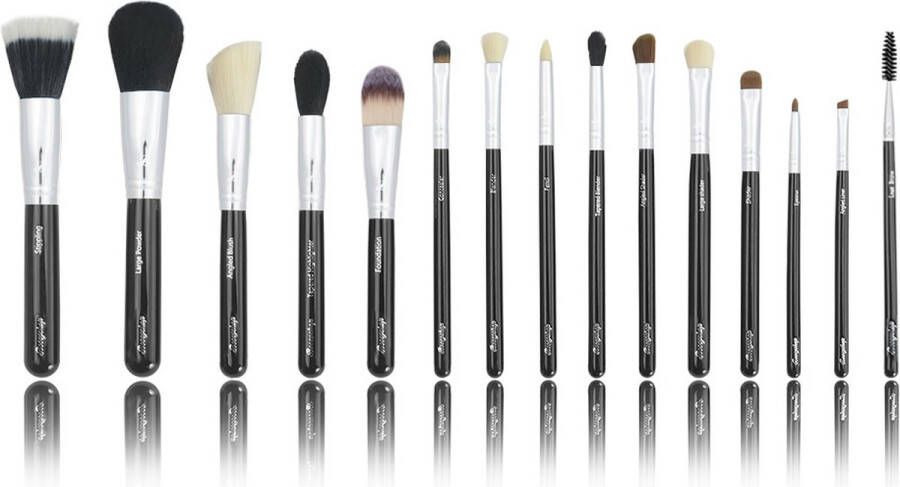 Boozyshop BoozyBrush 15 pc Classic Starter Set Make up kwasten set Zwart 15-delig Professionele make-up kwastenset