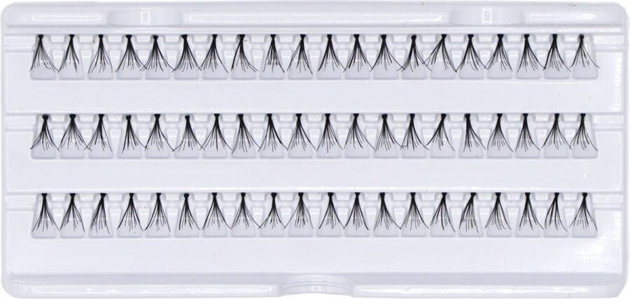 Boozyshop Individual Lashes Short (8mm.)