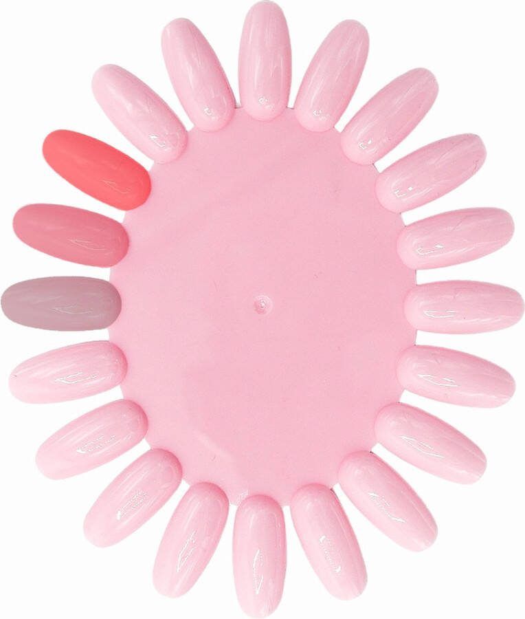 Boozyshop Nagel display Nagellak waaier Nagelwiel Kleurenwaaier Voor het oefenen van Nail Art Nail Wheel Pink 1 stuk