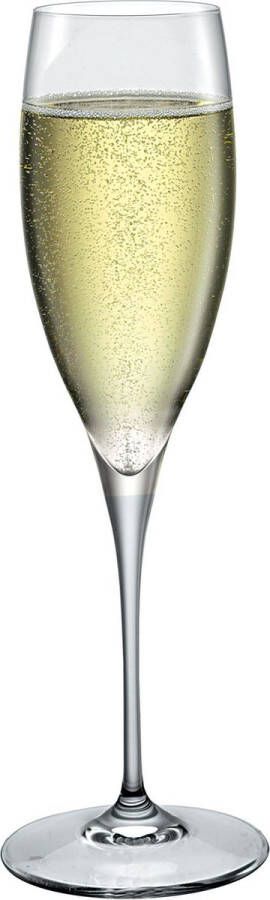 Bormioli Rocco champagneglazen Premium (26 cl) (set van 6)