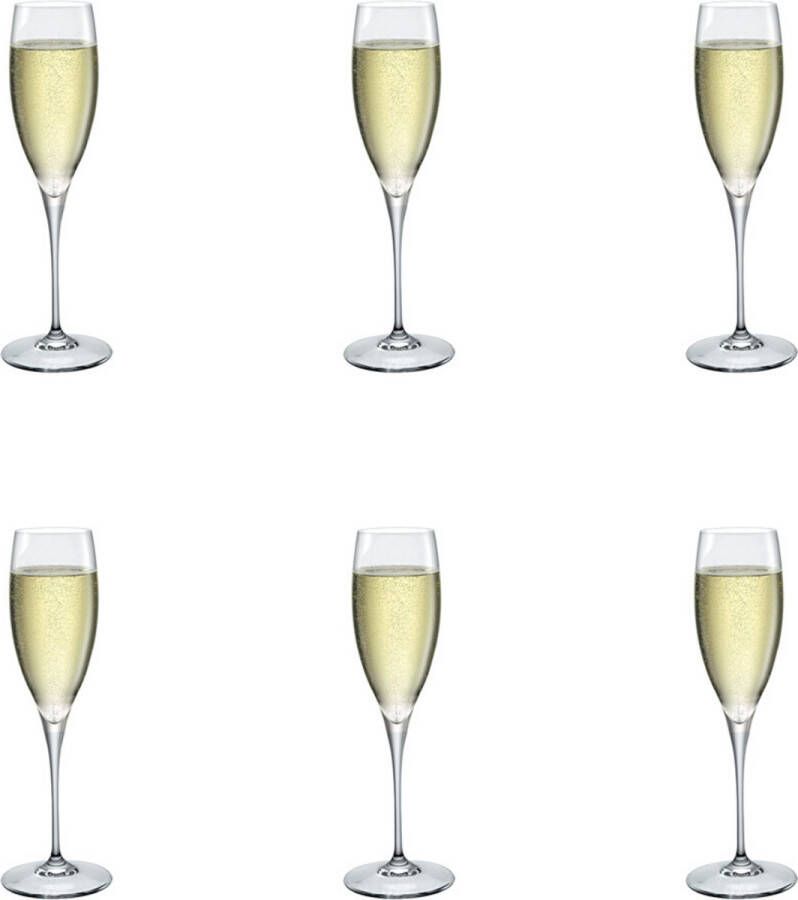 Bormioli Rocco Galileo Champagneglas Luxe Champagneglazen 26 cl 6 stuks