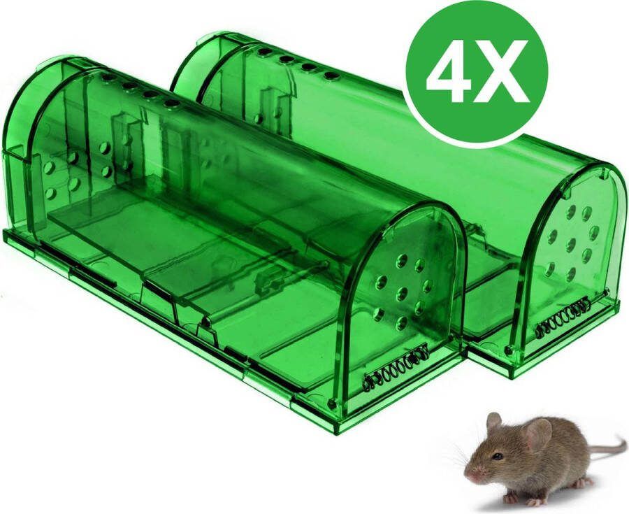 Borvat IBBO 4x Muizenval Diervriendelijke Muizenvallen (4 Stuks) Muizen Bestrijden Anti Muis Mousetrap Muizenverjager Lokdoos Nieuw Model + Schoonmaak Borstel