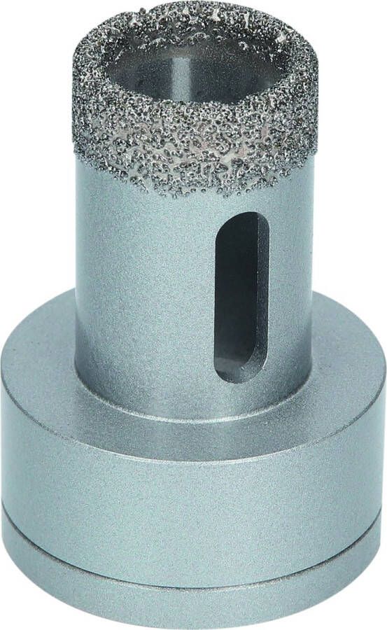 Bosch Accessories Bosch Power Tools 2608599031 Diamantboor droog 1 stuks 25 mm 1 stuk(s)