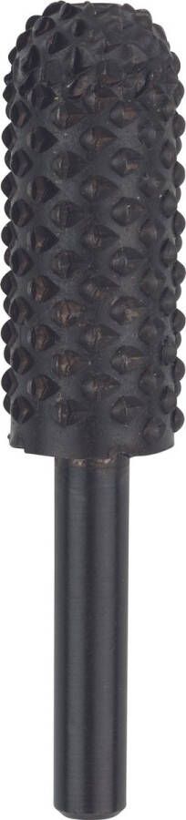 Bosch Accessories 2609200197 Houtraspen en -vijlen voor boormachines 6 x 14 mm Diameter 14 mm Schacht-Ø 6 mm 1 stuk(s)