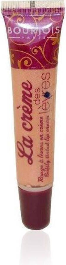 Bourjois Lipgloss 02 rose voluptueux