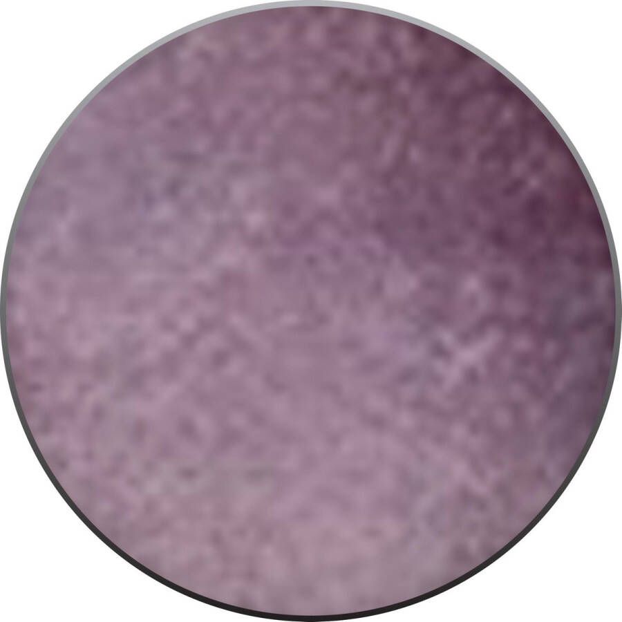 Bourjois New Round Pot Oogschaduw 13 Prune Paillettes