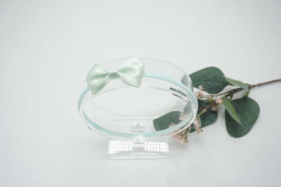 Bows and Flowers Haarband Nylon met baby strik Kleur Pastel Green Pastel groen Haarstrik
