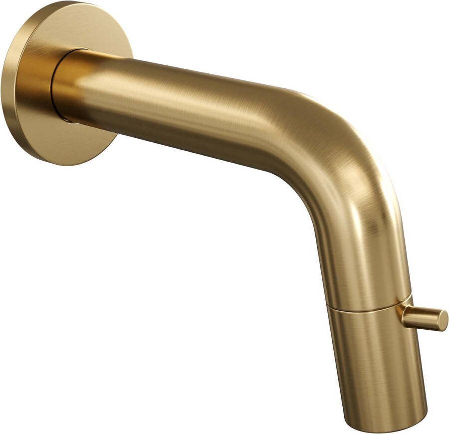 Brauer Gold Edition Fonteinkraan inbouw uitloop 14cm PVD geborsteld goud
