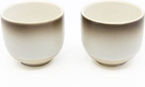 Bredemeijer Kopjes Fujian porselein set van twee stuks