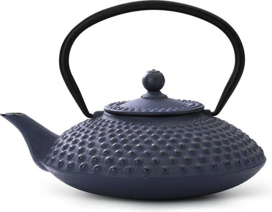 Bredemeijer Theepot Xilin 1 25L gietijzer blauw