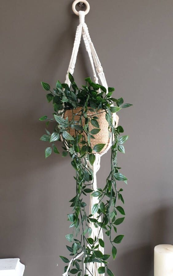 BrenLux Plantenhanger met kokosvezel bloempot 80cm hangbloempot handgeweven Verticale bloempot voor echte of kunstplanten Tuindecoratie Huisdecoratie Bloempot