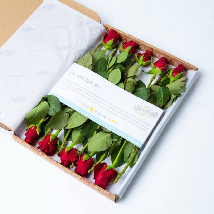 Brievenbusbloemen Bloomgift Brievenbus rozen Rode rozen Het Valentijnscadeau per post!