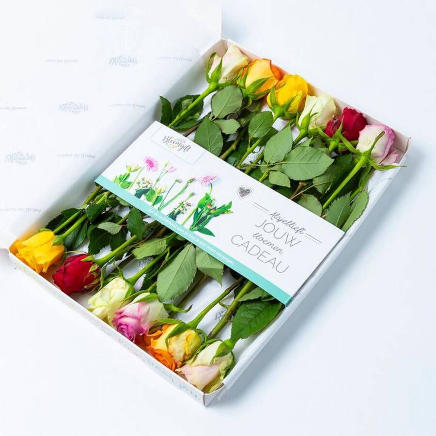 Brievenbusbloemen Bloomgift Mix rozen Brievenbus rozen Origineel verjaardagscadeau