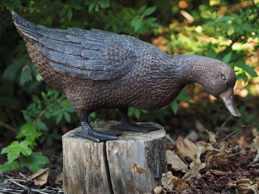 Bronzartes Tuinbeeld bronzen beeld Eend 30 cm hoog