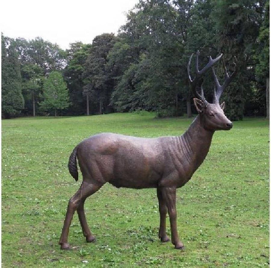 Bronzartes Tuinbeeld bronzen beeld Hert vrouwelijk 92 cm hoog
