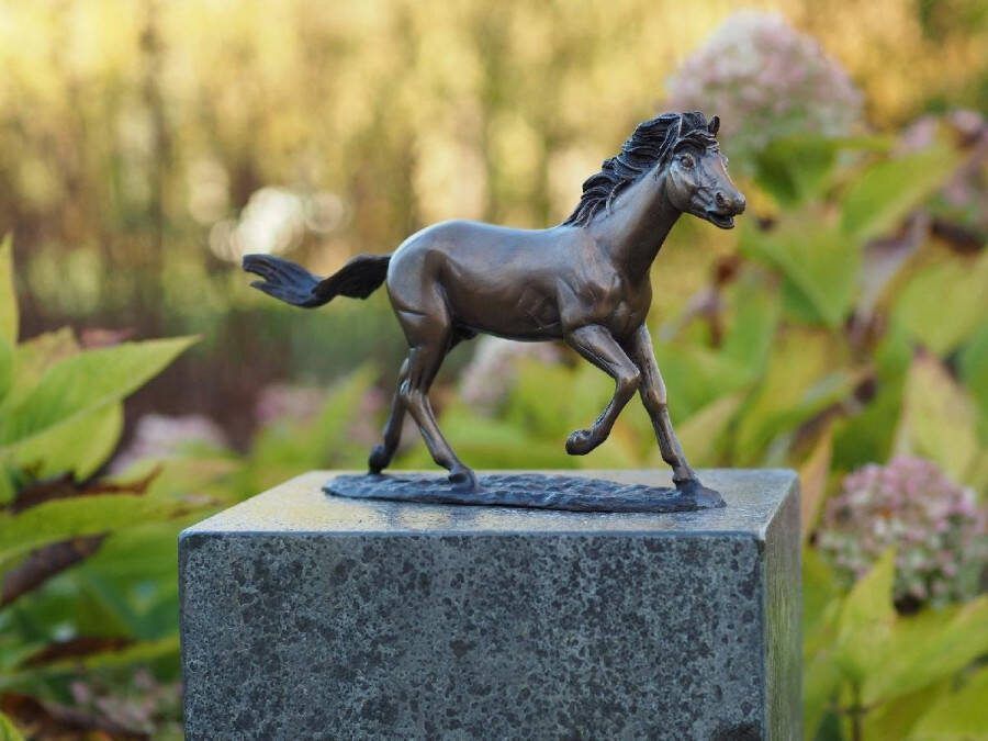 Bronzartes Tuinbeeld bronzen beeld Paard 17 cm hoog