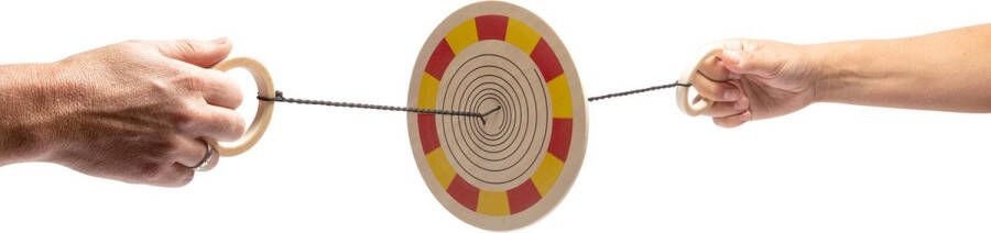 BS Toys Kleurenspinner Hout FSC Vanaf 6 jaar 18 cm doorsnede 1 tot 2 spelers