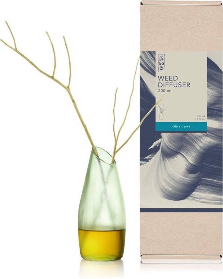 BsaB FT 508843 Diffuser 200ml Olive (Fr)