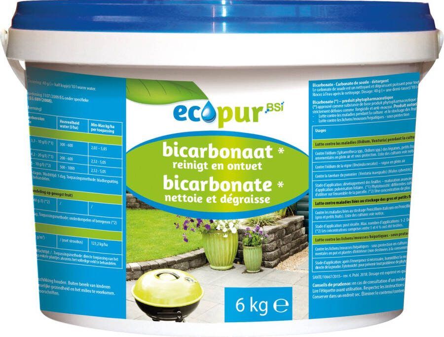BSI Ecopur Bicarbonaat Ontvetter Fungicide 6 kg