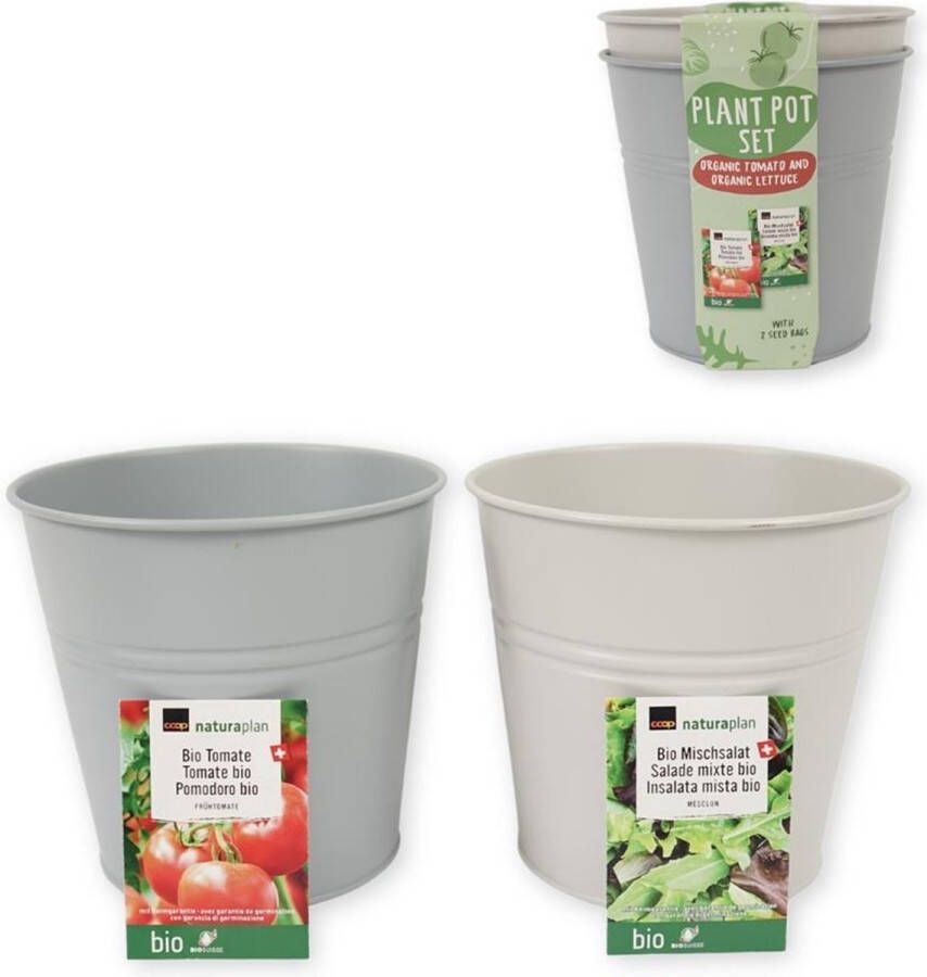 Budgetland (R) Kweekset bio tomaten en sla 17 cm THT 2025