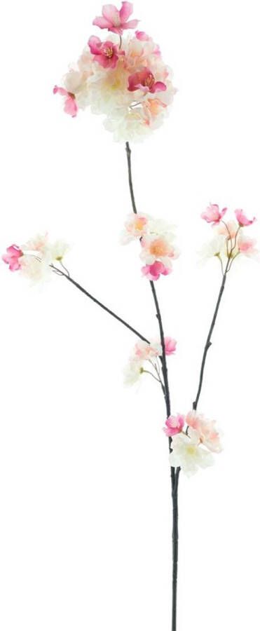 By Kohler Prunus malaga tros beauty creme 84cm