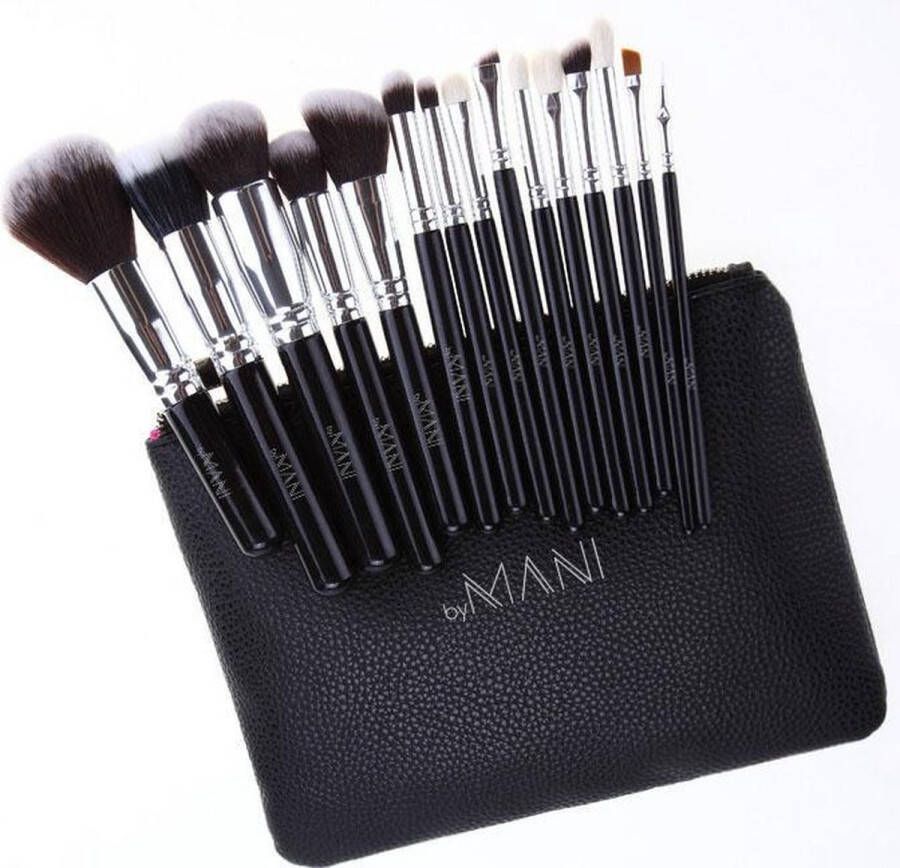 ByMANI Make-up Brush Set 15-delig professioneel zwart make up kwasten set voor aanbrengen make up 15 delig inclusief tasje