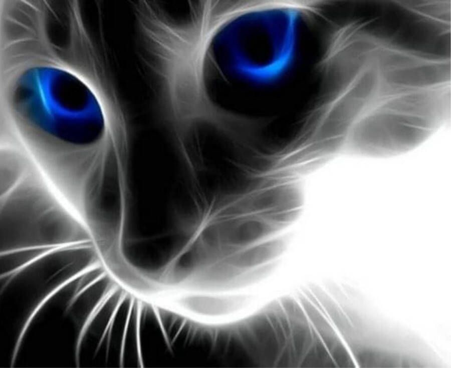 Bypaan Diamond painting Mysterieuze kat met blauwe ogen