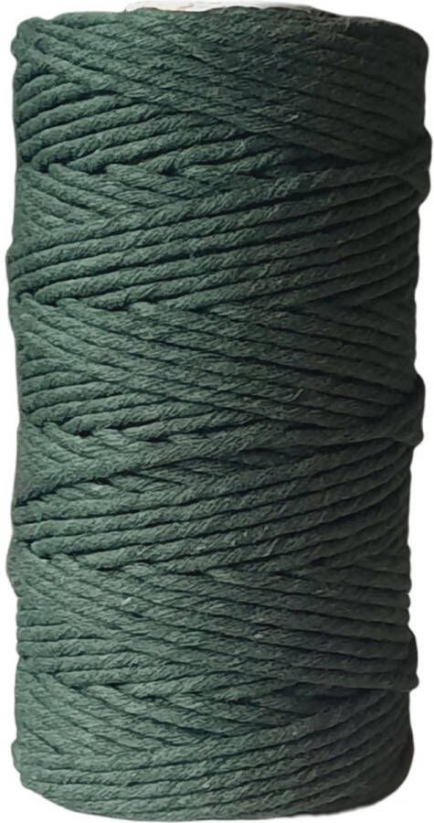 Cafuné Macrame garen Lux-Groen-3mm–100 meter-Gerecycled katoen-Touw-Koord-Garen-Uitkambaar Macrame touw