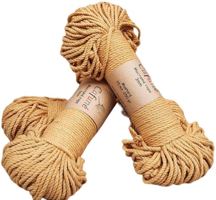 Cafuné Macrame Touw-3 mm-75 m-250gr-Lichtgrijs-Katoen Touw-Gerecycled-Koord-Plantenhanger-Wandkleed-Sleutelhanger-Dromenvanger-Macrame Pakket