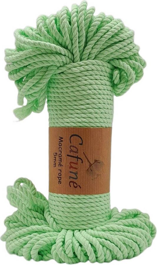 Cafuné Macrame Touw-5mm-48meter-Neon Groen-Driestrengs-Triple Twist-Gerecycled-Katoen Koord-Touw-Uitkambaar-Plantenhanger-Wandkleed-Sleutelhanger-Dromenvanger-Macramé Koord-Macramé Pakket