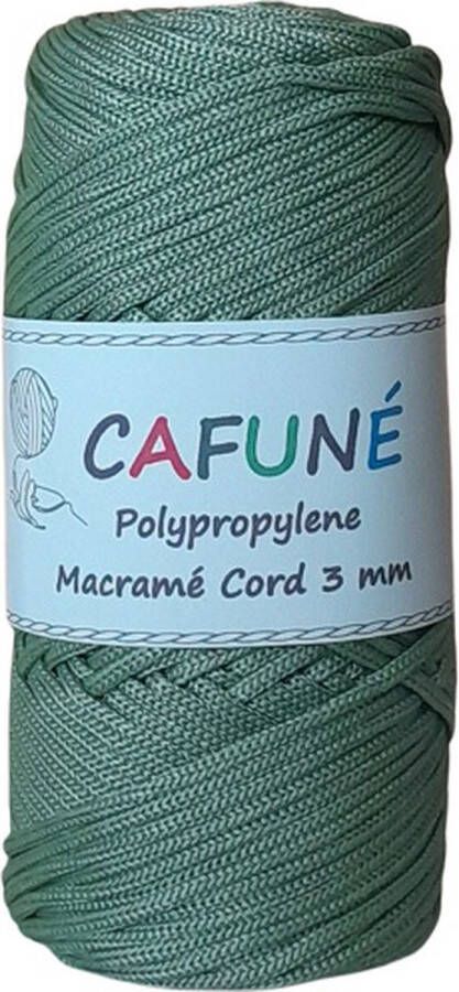 Cafuné Polypropyleen macramé koord Appel 3mm PP6 gevlochten koord Haken Macramé Tas maken