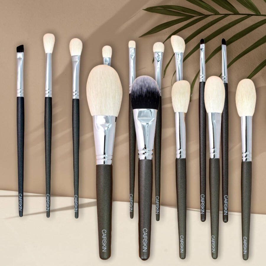CAIRSKIN Professional Brush Set 14 Moisy Chic Brushes Natural Hair Goat Brushes Including Standing Brush Bag Professional Brushes Natural Hair Visagie Penselen