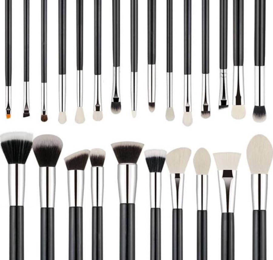 CAIRSKIN Professional Make-up Set 30 Brushes + Belt Professionele Visagie Gezicht Ogen Wenkbrauwen Volledige Kwastenset Synthetic Fibers Natural Hairs Combination Set Professional Quality Brushes
