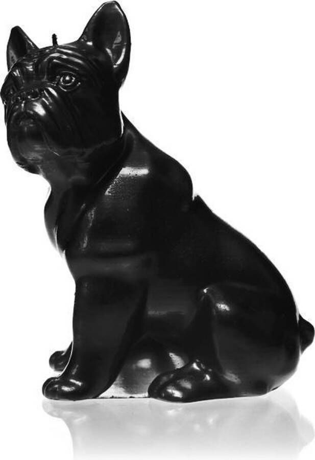 Candellana Hoogglans zwart gelakte figuurkaars design: Bulldog Hoogte 15 cm (24 uur)
