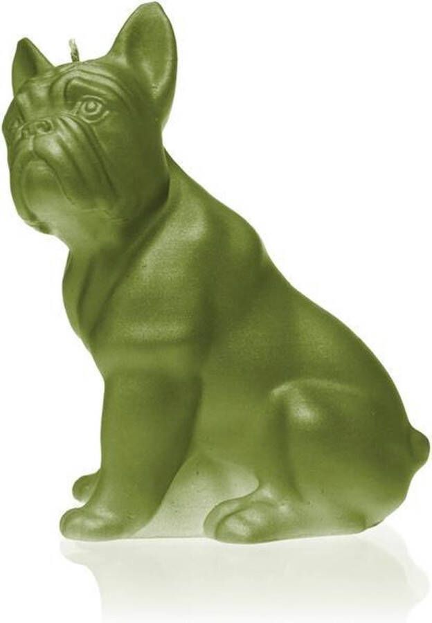 Candellana Olijfgroen gelakte figuurkaars design: Bulldog Hoogte 15 cm (24 uur)