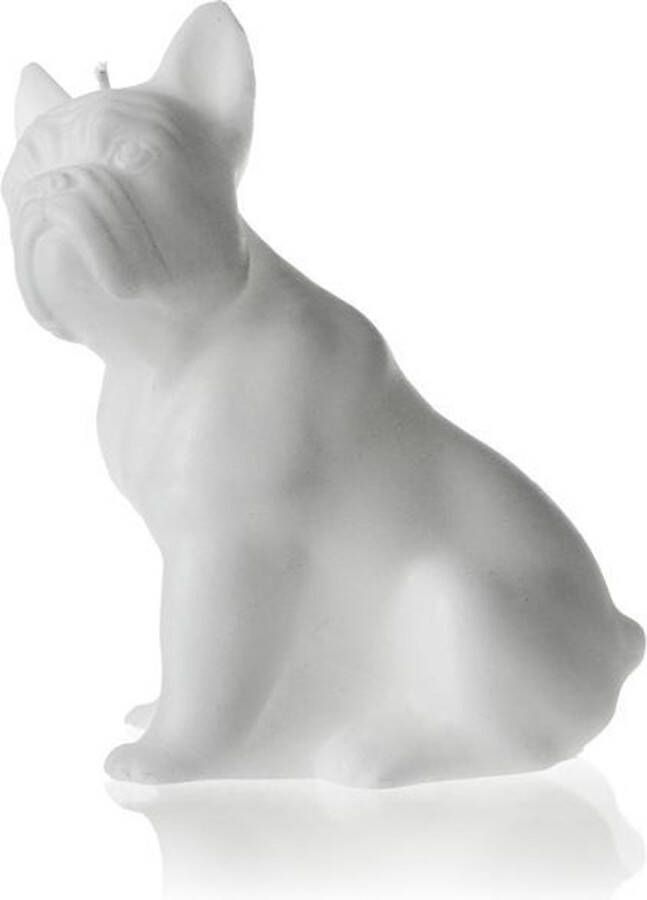 Candellana Parelwit gelakte figuurkaars design: Bulldog Hoogte 15 cm (24 uur)
