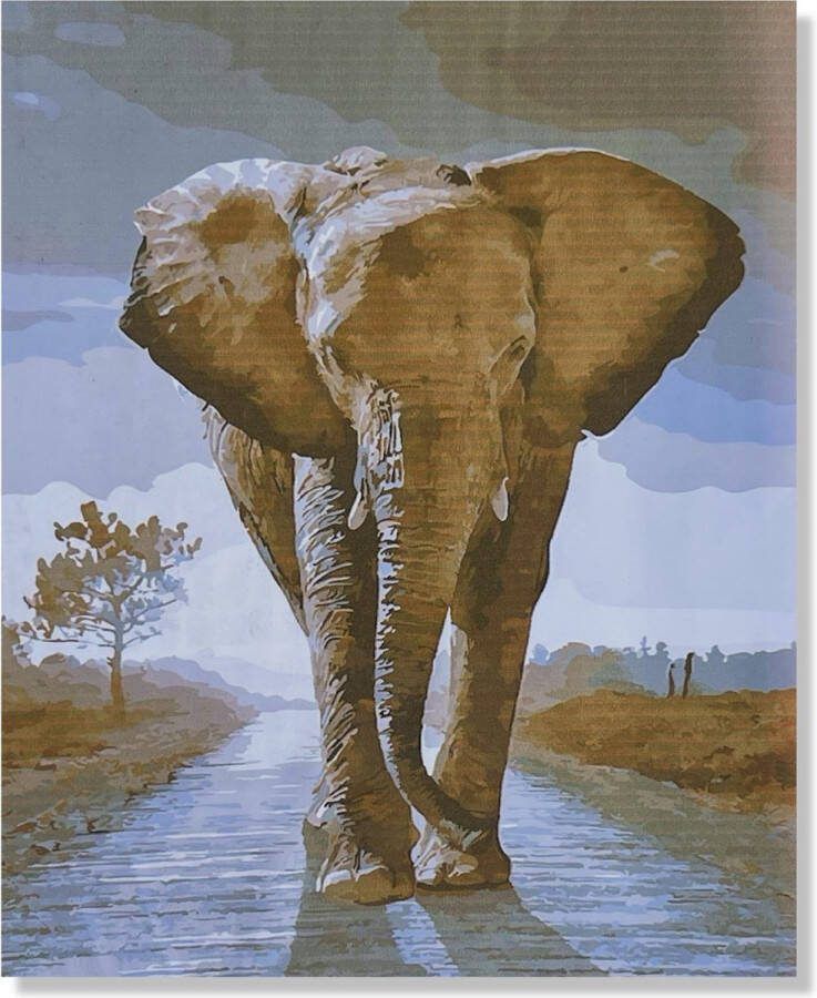 Cards & Crafts Olifant Schilderen Op Nummer met Frame 40x50cm Painting by Numer DIY schilder pakket