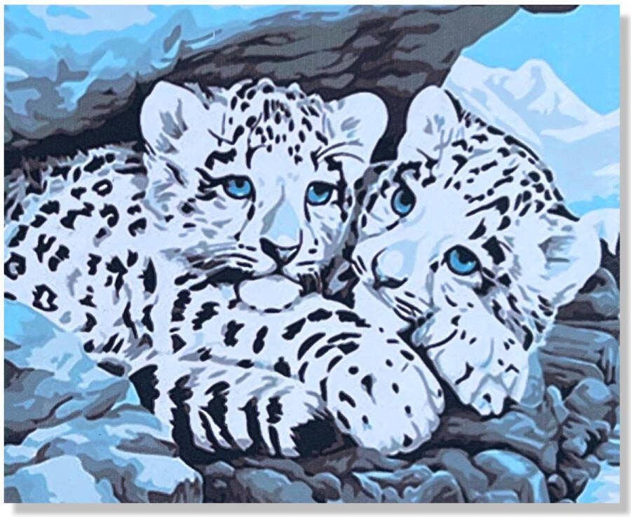 Cards & Crafts Panters Schilderen Op Nummer met Frame 40x50cm Painting by Numer DIY schilder pakket