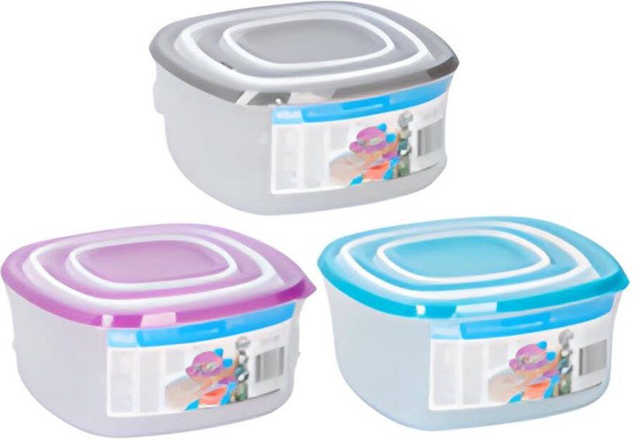 Carrefour 8711292203438 Voorraaddoos Vierkant Container Verschillende kleuren 12 stuk(s)