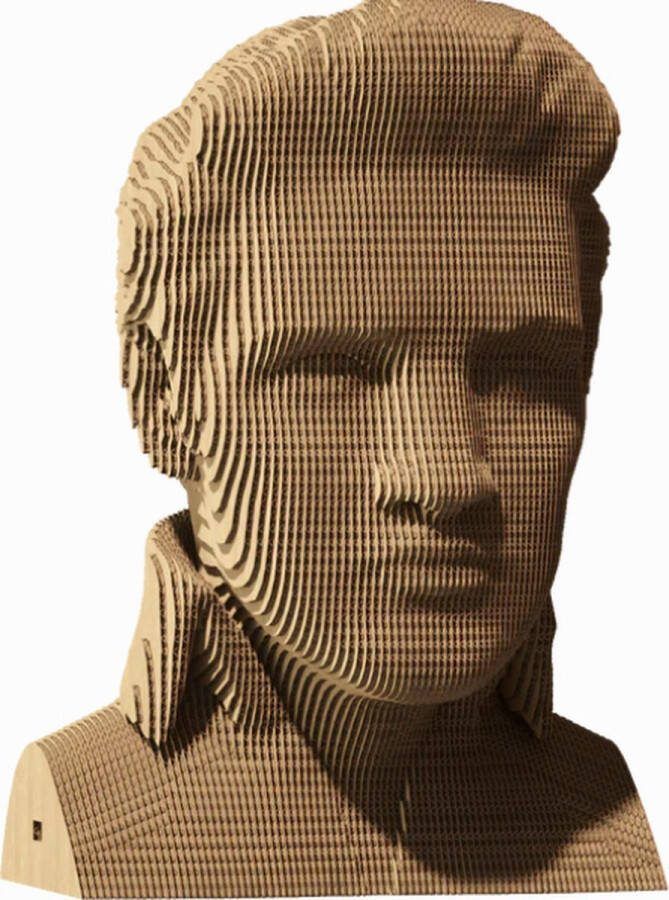 CARTONIC -3D puzzel- Elvis Presley-3D puzzel- Speelgoed- Puzzel-DIY- Creatief- Karton- Kinderen en volwassen- 3D- puzzel