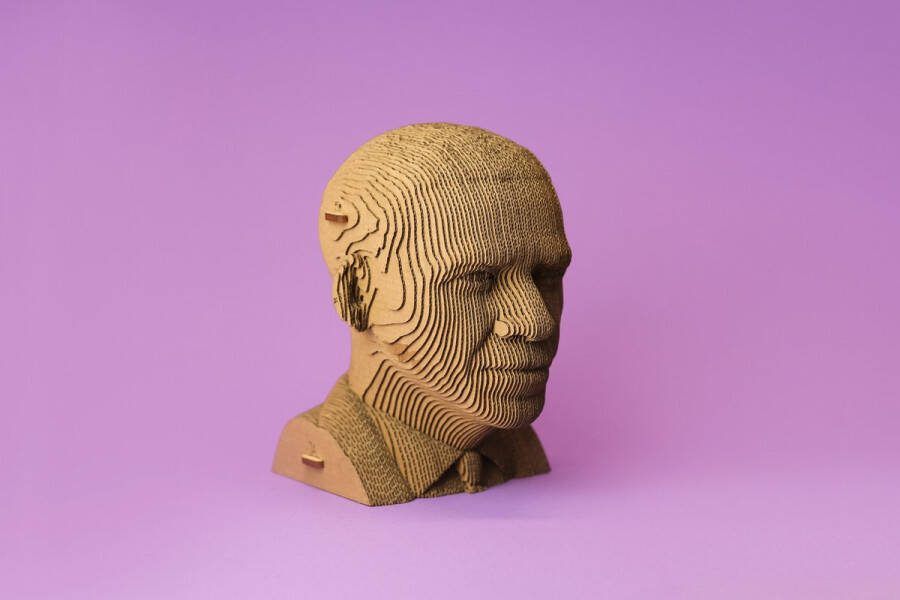 CARTONIC ZINEDINE ZIDANE- 3D puzzel- Puzzel- kinderen en volwassenen- decoratie-interieur- speelgoed- DIY