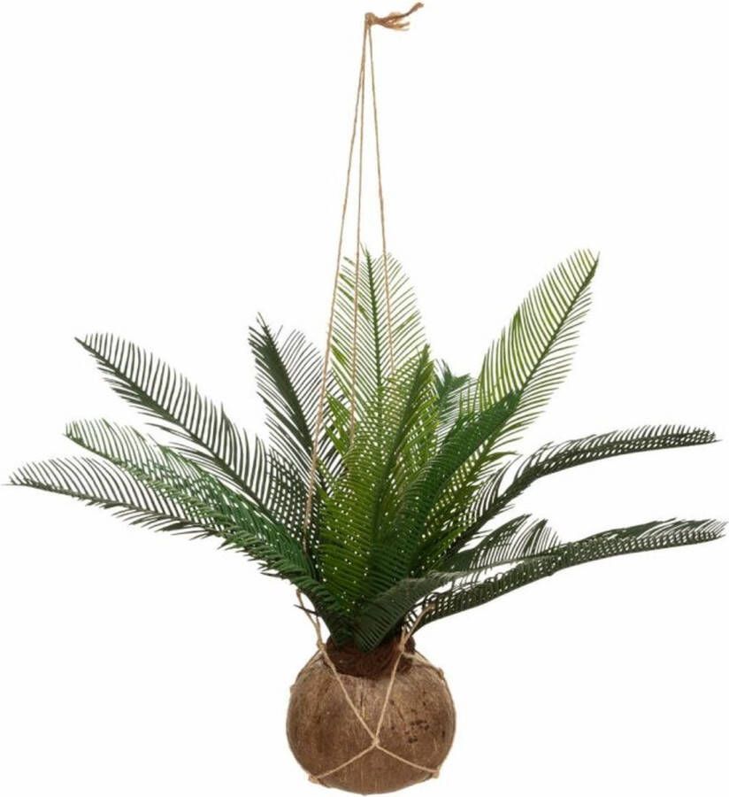 CASA DI ELTURO Hangende Kunst palm in echte Coconut pot – 50 cm