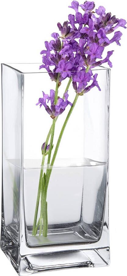 Casa Vivante Vierkante bloemenvaas van helder glas glazen vaas voor snijbloemen decoratieve vaas voor verjaardag of Moederdag