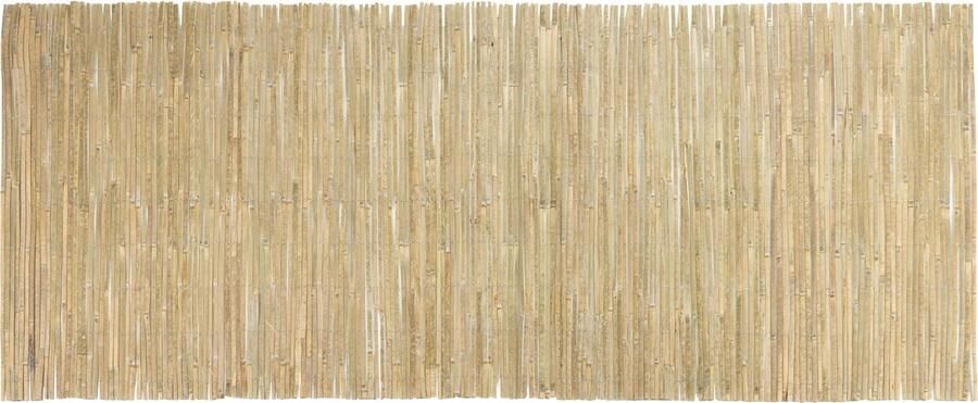 Casa.pro Bamboemat Baarle tuinhek op rol 150x500 cm