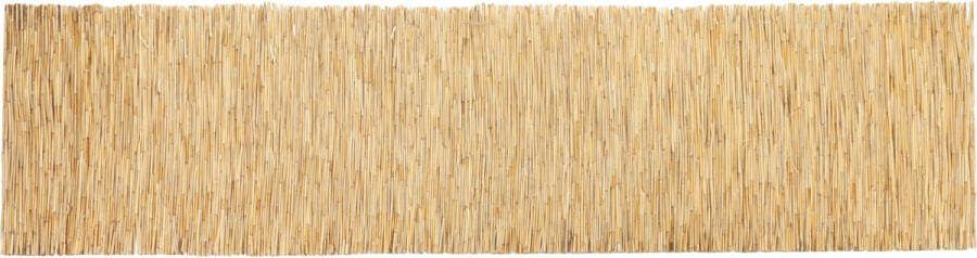 Casa.pro Rietmatten Abbateggio pryvacyscherm balkonscherm 140x600 cm