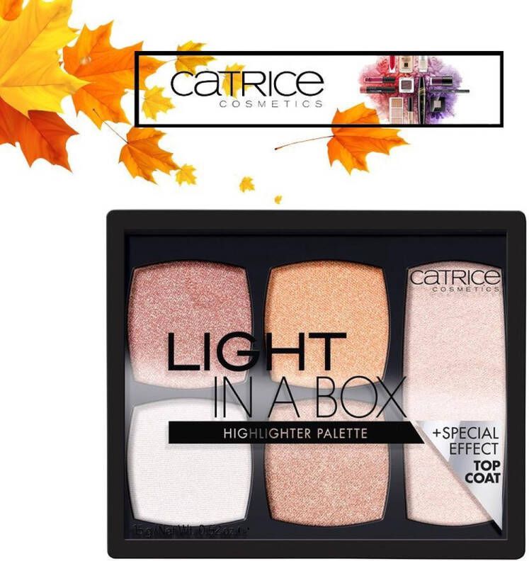 Catrice Cosmetics 6 Kleuren Highlighter Palette Light In A Box 010 Its Glow Time